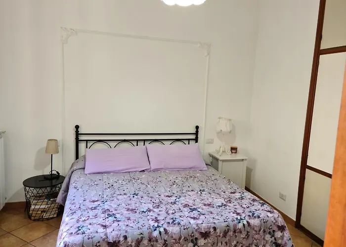 Il Grillo Ai Fori Romani *