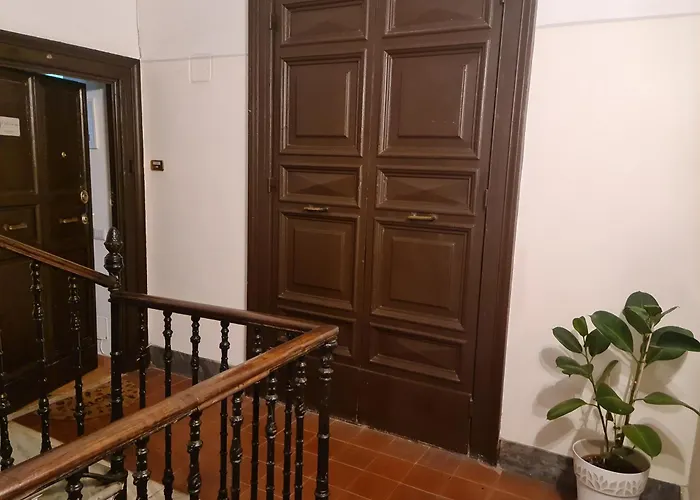 Il Grillo Ai Fori Romani