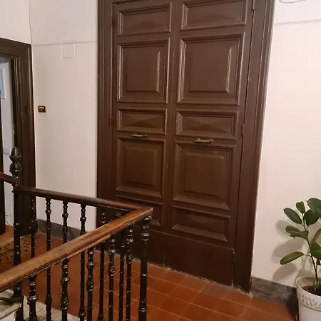 Il Grillo Ai Fori Romani