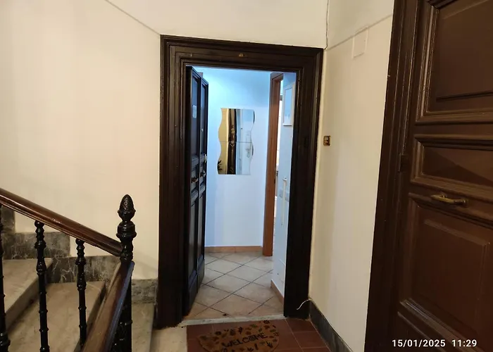 Il Grillo Ai Fori Romani *